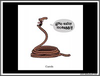 /album/humor1/a1-41-jpg/